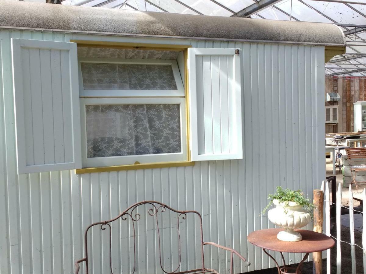Pipowagen Overnachting Het Houten Huis Zaltbommel Bagian luar foto
