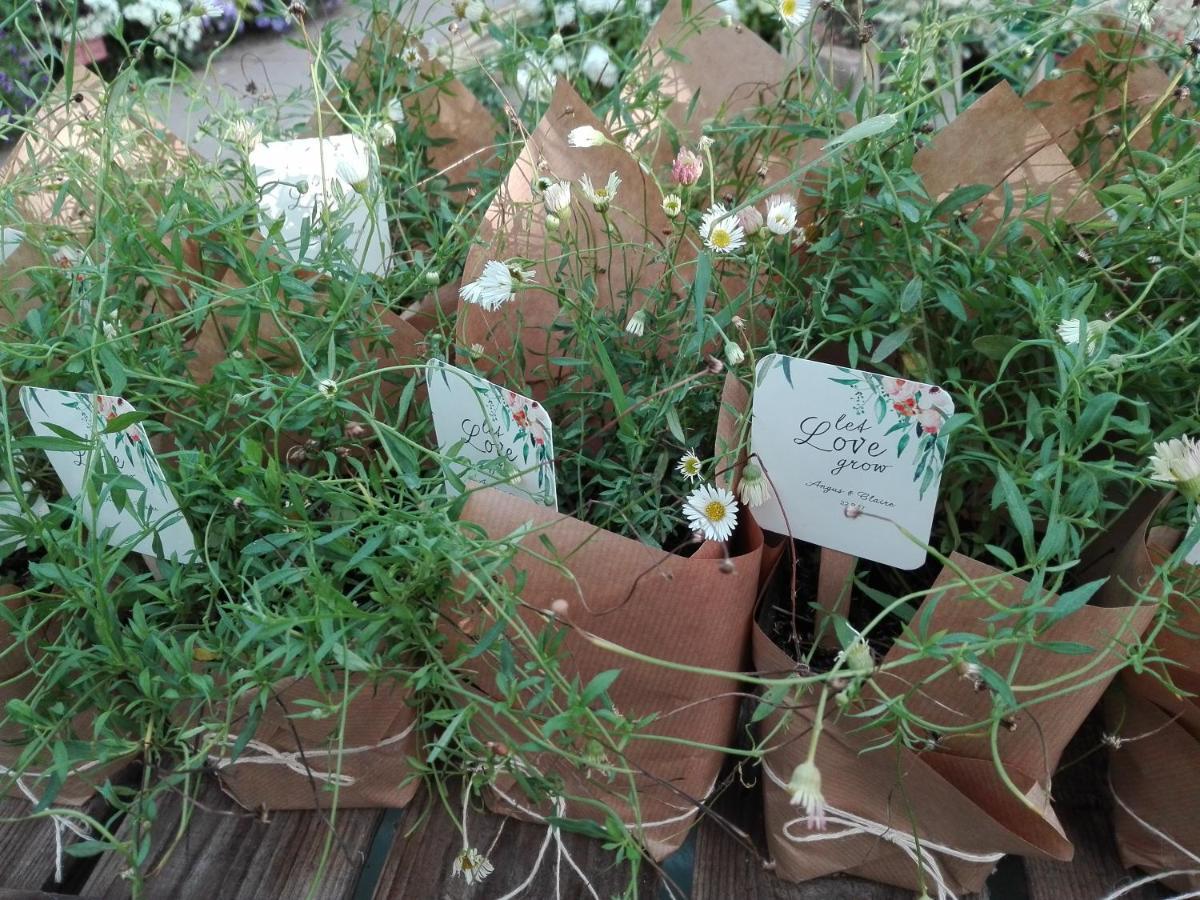 Pipowagen Overnachting Het Houten Huis Zaltbommel Bagian luar foto